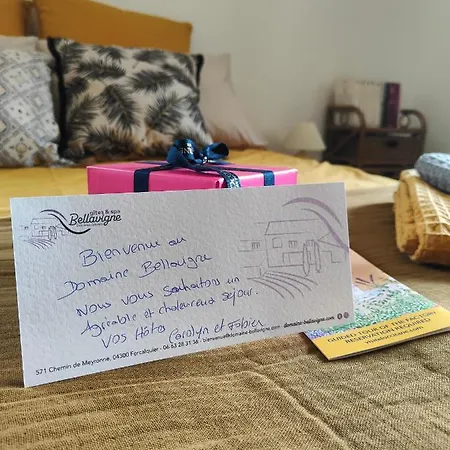 Domaine Bellavigne Et Forcalquier